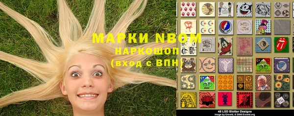 индика Михайлов