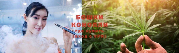 индика Михайлов