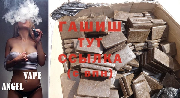 индика Михайлов