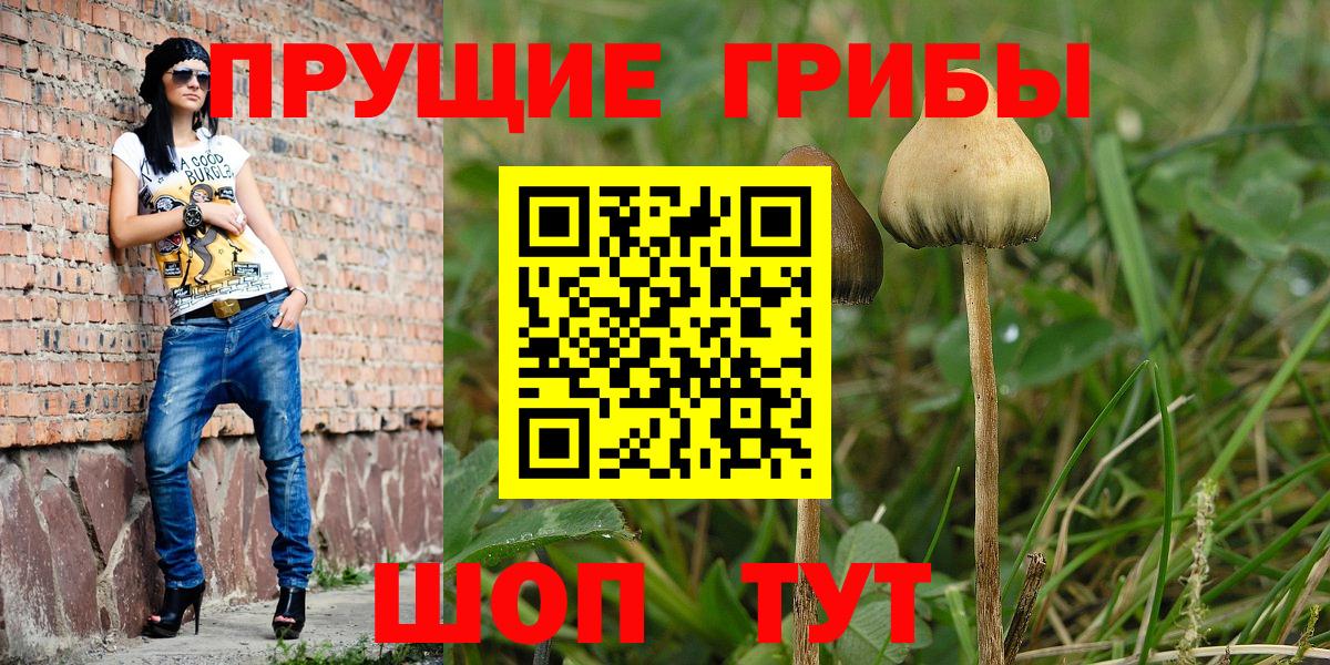 Галлюциногенные грибы GOLDEN TEACHER  Псилоцибиновые грибы Psilocybine cubensis  Вход с VPN  Удомля 