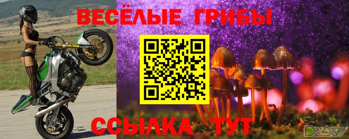 Галлюциногенные грибы Magic Shrooms  Удомля 